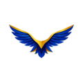 Website Logo & Favicon